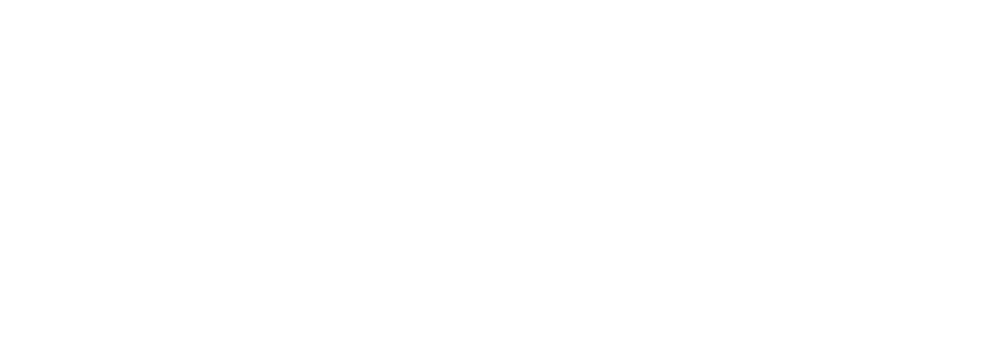Fire-Connect-logo-white-1